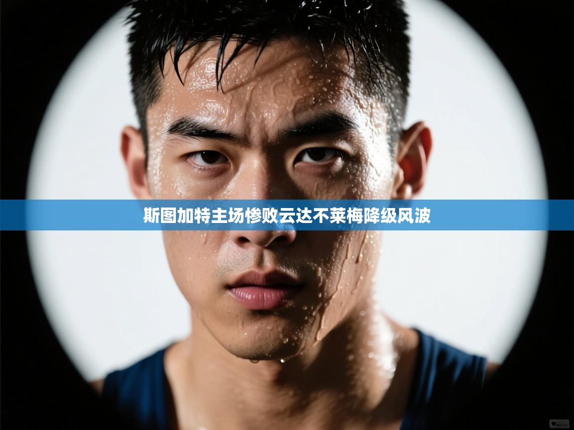 开云体育app官网网页登录入口-斯图加特主场惨败云达不莱梅降级风波  第4张