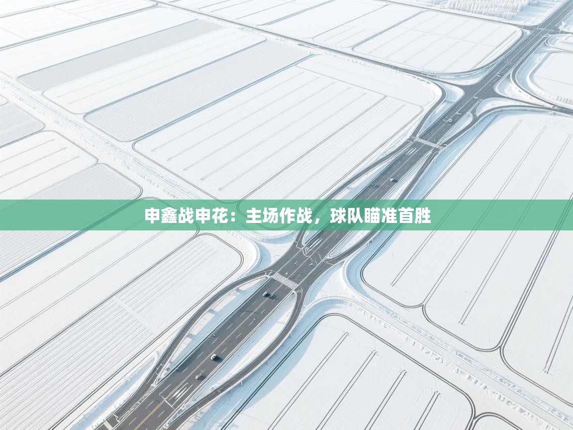 开云体育入口邀请码-申鑫战申花:主场作战,球队瞄准首胜 第2张