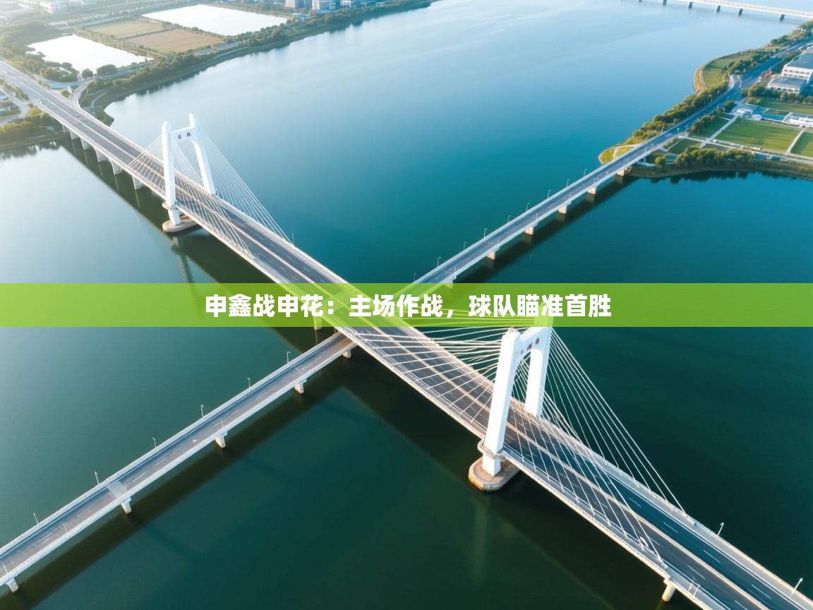 开云体育入口邀请码-申鑫战申花:主场作战,球队瞄准首胜 第3张