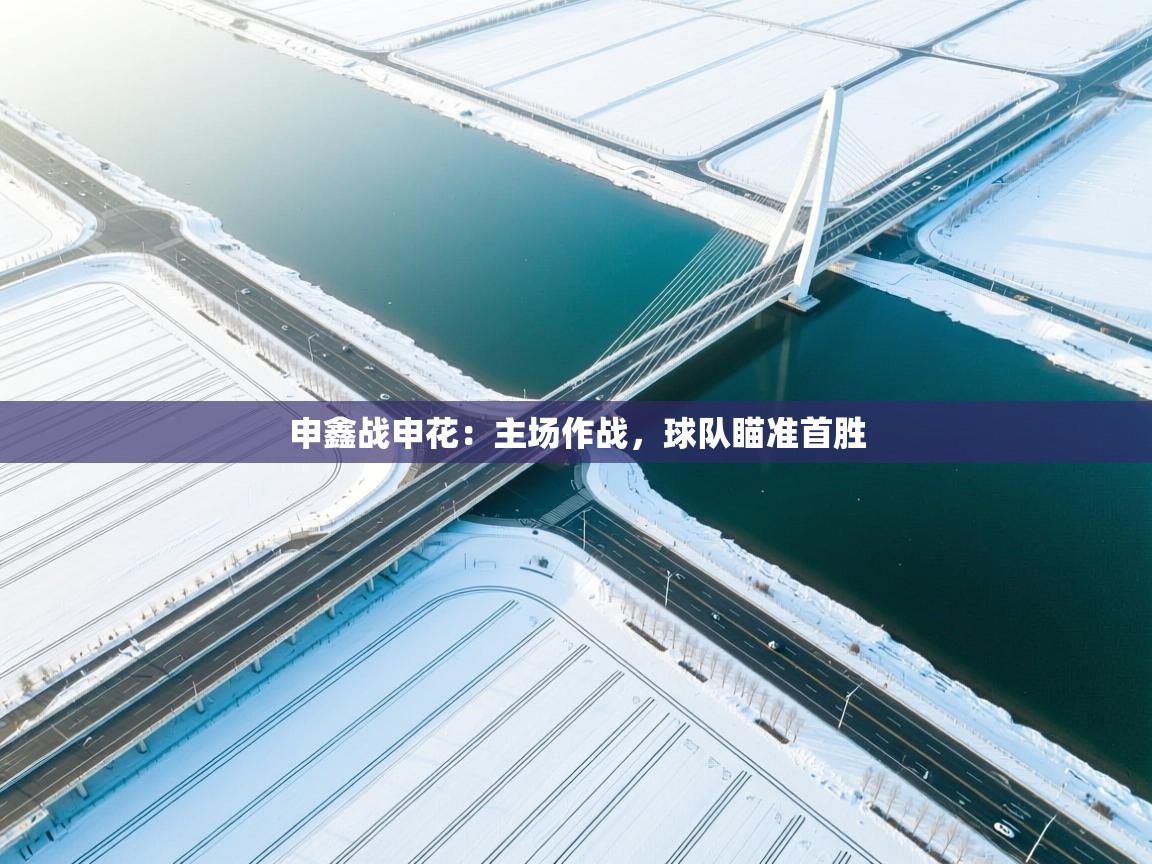 开云体育入口邀请码-申鑫战申花:主场作战,球队瞄准首胜 第4张