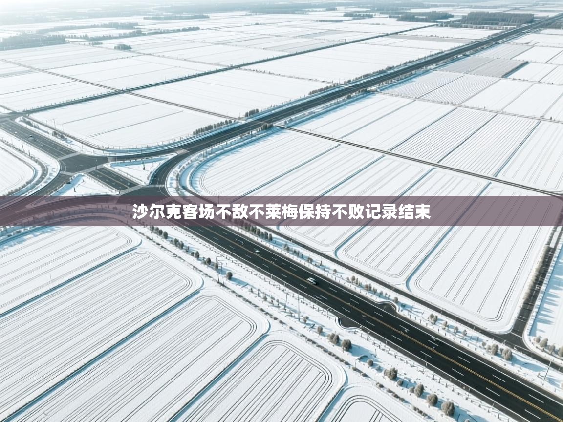 开云手机版-沙尔克客场不敌不莱梅保持不败记录结束